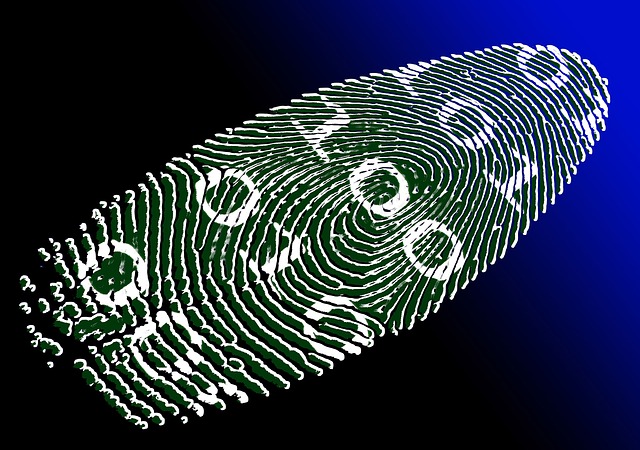 Illustration of a fingerprint. The background is a gradient from black to blue. Fingerprints are in green and numbers 1 and 0 are inscribed on the fingerprint.